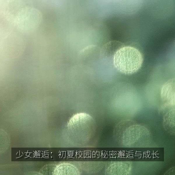 少女邂逅：初夏校园的秘密邂逅与成长 海报