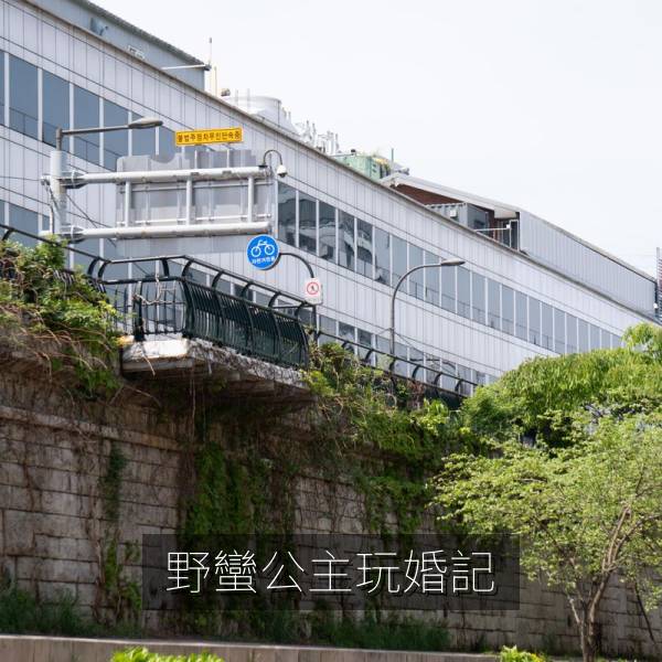 野蠻公主玩婚記 海报