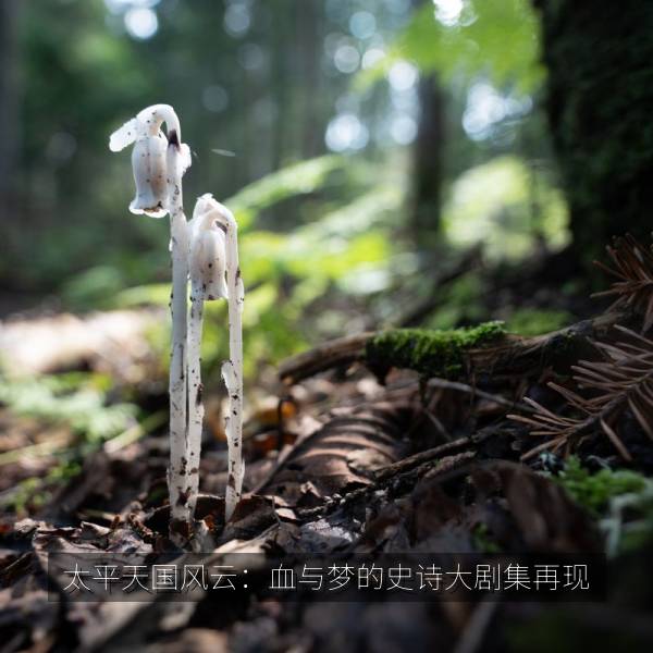 乐看影院 国漫日漫高清海报