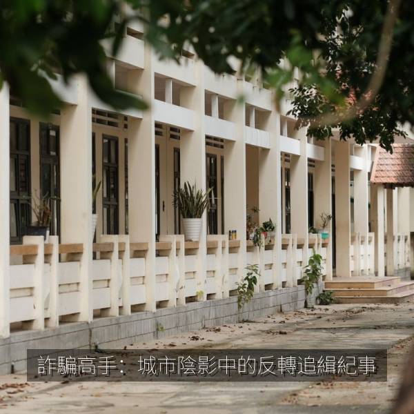詐騙高手：城市陰影中的反轉追緝紀事 海报
